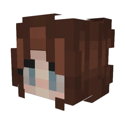 AbandonTalon Minecraft avatar head, 3D render