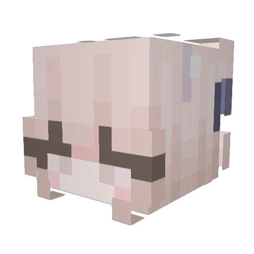 AbbKay1 Minecraft avatar head, 3D render