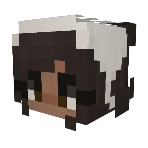 AbbaBamboozle Minecraft avatar head, 3D render