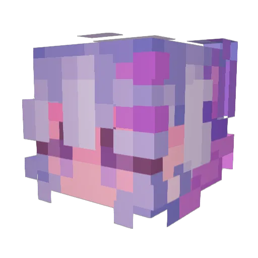 Abbakadabra Minecraft avatar head, 3D render