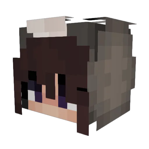 AbbasVoin Minecraft avatar head, 3D render