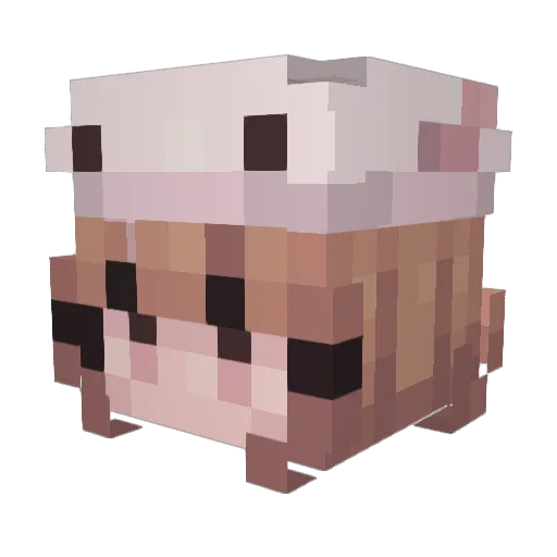 Abbat356 Minecraft avatar head, 3D render