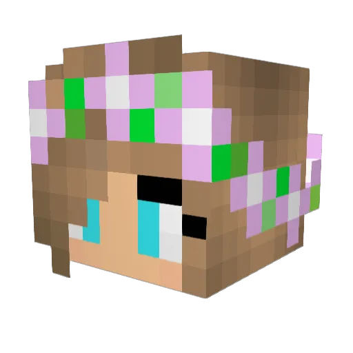 Abbey2004 Minecraft avatar head, 3D render