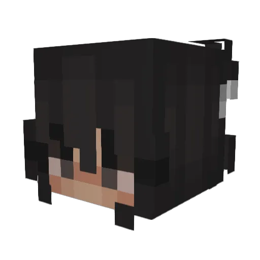 AbbeyBee Minecraft avatar head, 3D render