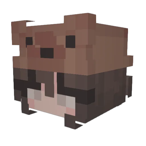 AbbeyDaddy Minecraft avatar head, 3D render