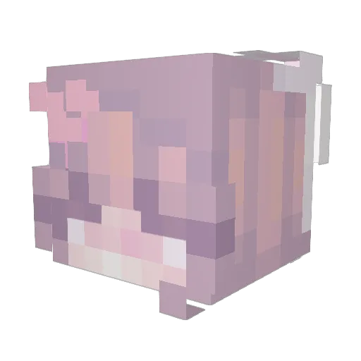 AbbeyMC Minecraft avatar head, 3D render