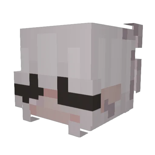 AbbeyNoelle Minecraft avatar head, 3D render