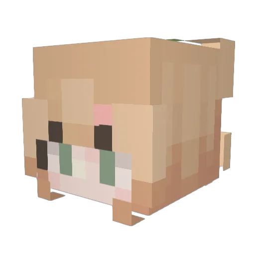 AbbieR17 Minecraft avatar head, 3D render
