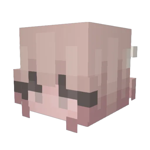 AbbyBabby101 Minecraft avatar head, 3D render