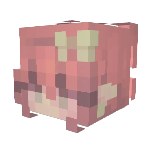 AbbyHess96 Minecraft avatar head, 3D render