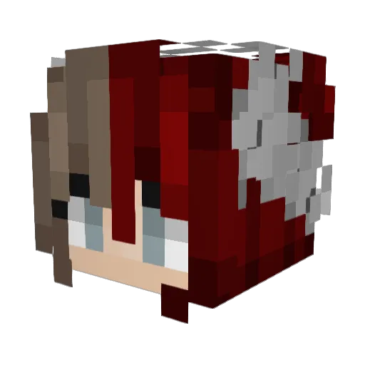AbbyN717 Minecraft avatar head, 3D render