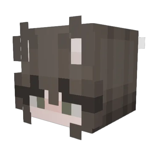 Abbyseabrookk Minecraft avatar head, 3D render