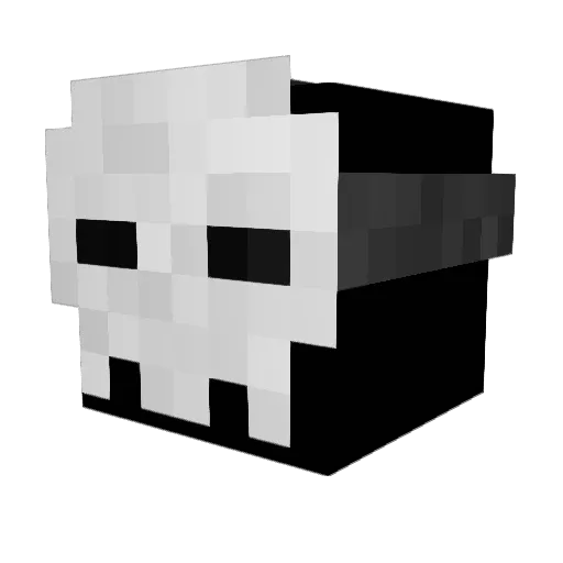 Abdul_Rehman_ Minecraft avatar head, 3D render