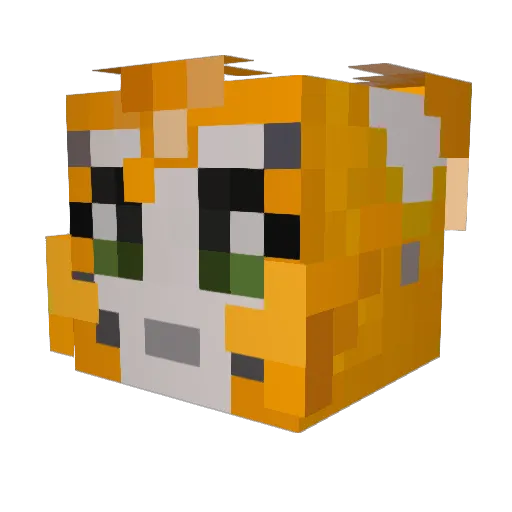 Abe008 Minecraft avatar head, 3D render