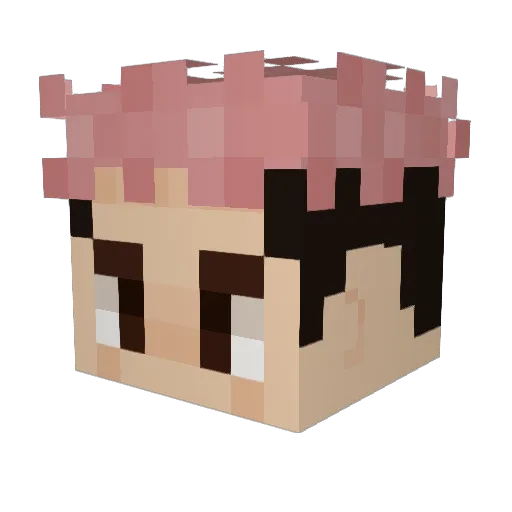 Abe1232 Minecraft avatar head, 3D render