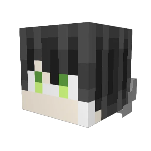 AbeGM2 Minecraft avatar head, 3D render