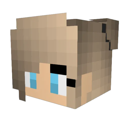 Abean10 Minecraft avatar head, 3D render