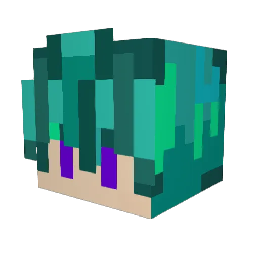 Abeenst2106 Minecraft avatar head, 3D render
