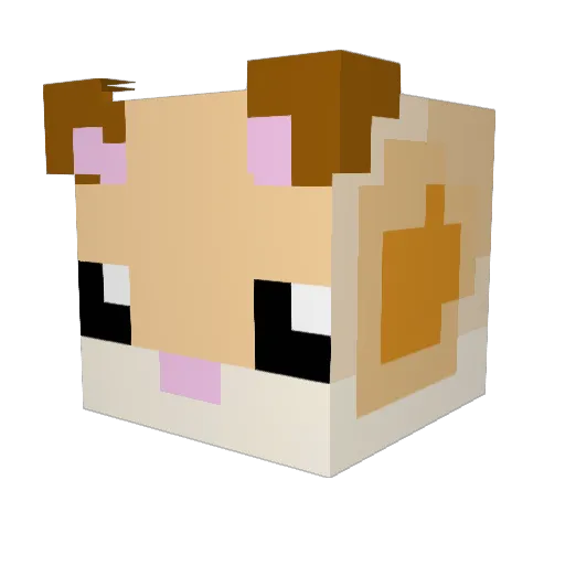 Abeja1171 Minecraft avatar head, 3D render