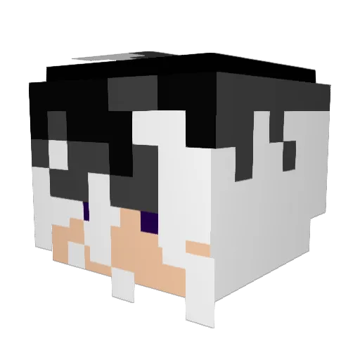 Abel009 Minecraft avatar head, 3D render