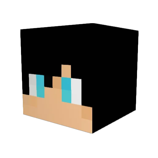 Abelha2004 Minecraft avatar head, 3D render
