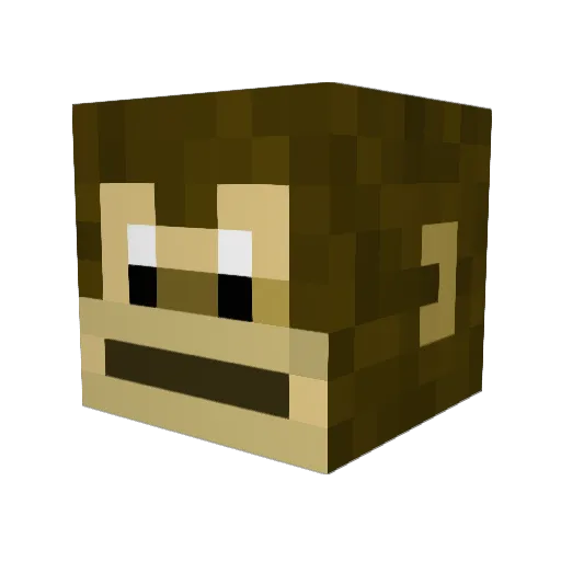 Abeltje3 Minecraft avatar head, 3D render