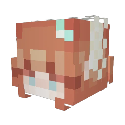 Abelx04 Minecraft avatar head, 3D render