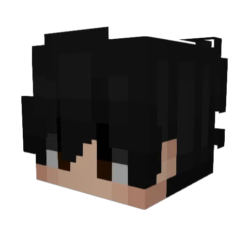 AbgSniffer Minecraft avatar head, 3D render
