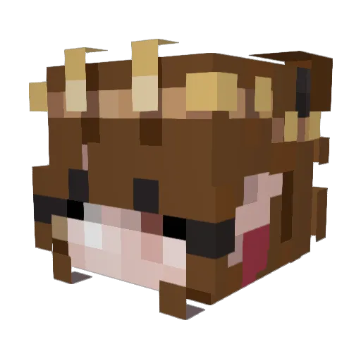 AbiBP82 Minecraft avatar head, 3D render