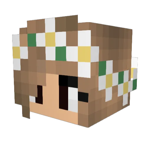 AbiLAD Minecraft avatar head, 3D render
