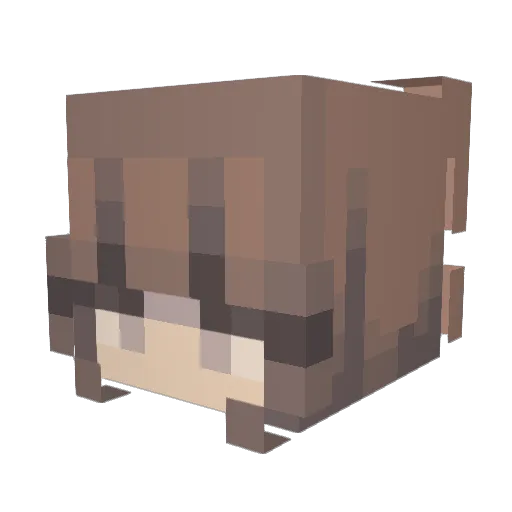 Abi_16 Minecraft avatar head, 3D render