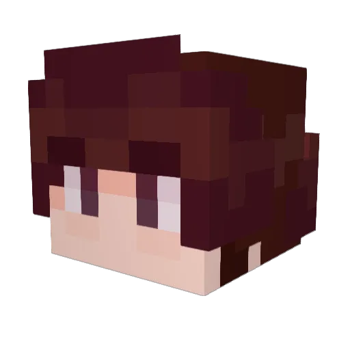 Abikatt Minecraft avatar head, 3D render