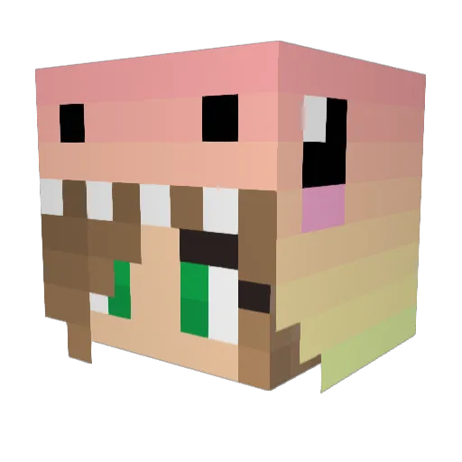 Abimonkey103 Minecraft avatar head, 3D render