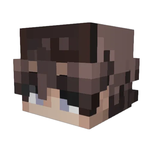 Ablution Minecraft avatar head, 3D render