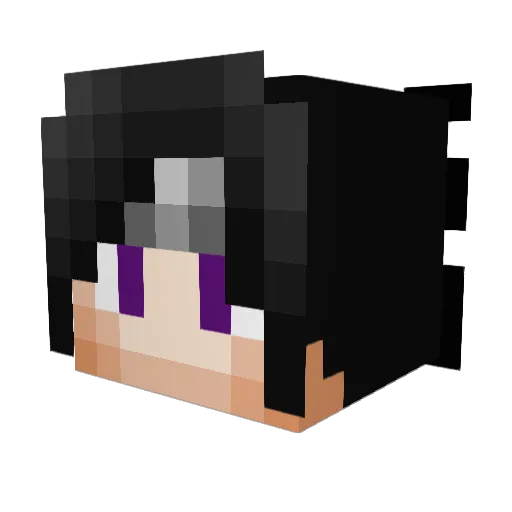 Abner16 Minecraft avatar head, 3D render