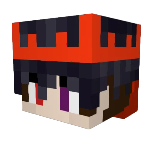 AboF3noo9 Minecraft avatar head, 3D render