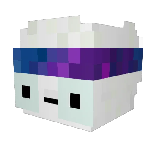 AboNdara Minecraft avatar head, 3D render