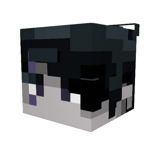 Abofalanoz Minecraft avatar head, 3D render