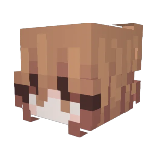 Abopportun Minecraft avatar head, 3D render