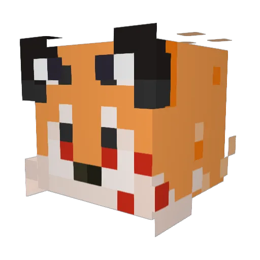 Abortionator909 Minecraft avatar head, 3D render