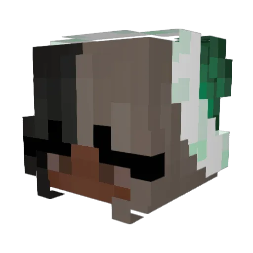 AbracaDanielUwU Minecraft avatar head, 3D render