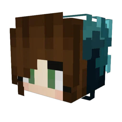 Abracadabra1333 Minecraft avatar head, 3D render
