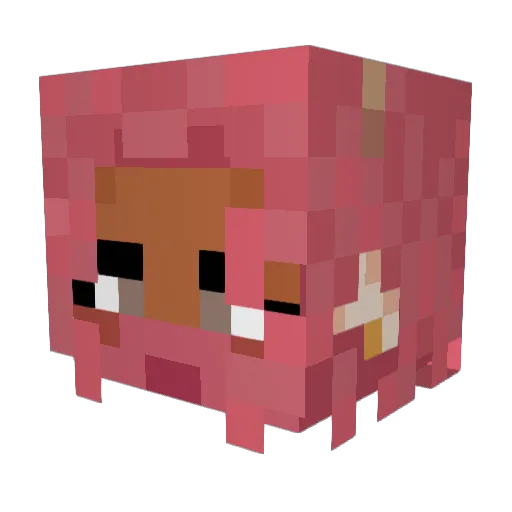 AbrahamNox Minecraft avatar head, 3D render