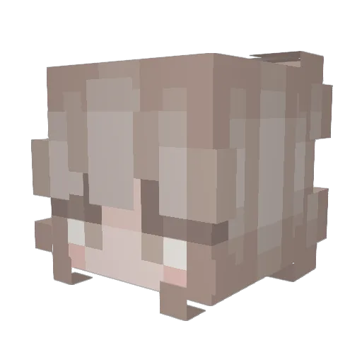 Abrakz Minecraft avatar head, 3D render