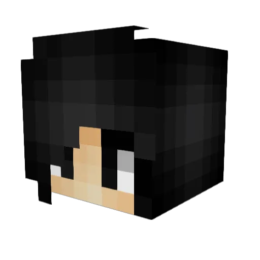 AbrasveUploadPLS Minecraft avatar head, 3D render