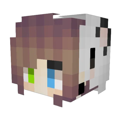 AbreuDasParadas Minecraft avatar head, 3D render