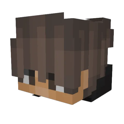 Abs8nt Minecraft avatar head, 3D render