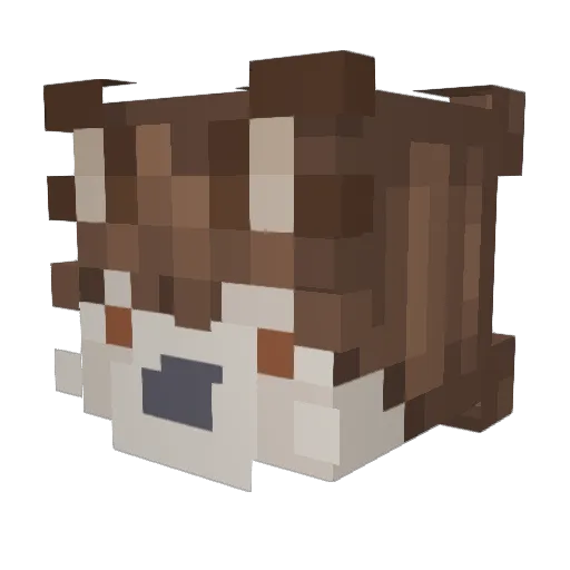 AbsWriter Minecraft avatar head, 3D render
