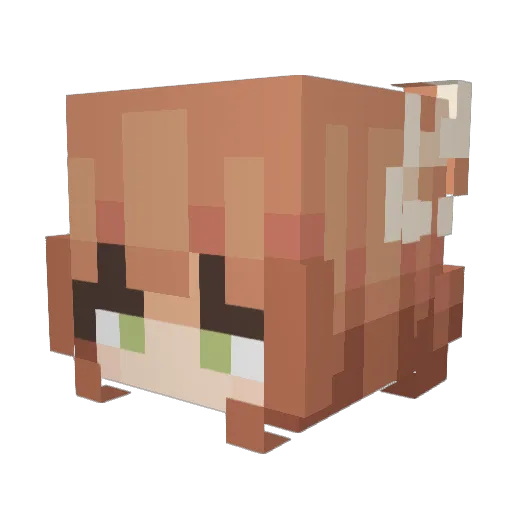AbsolKing Minecraft avatar head, 3D render