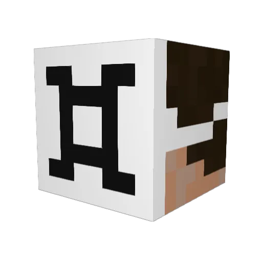 Absoludin Minecraft avatar head, 3D render